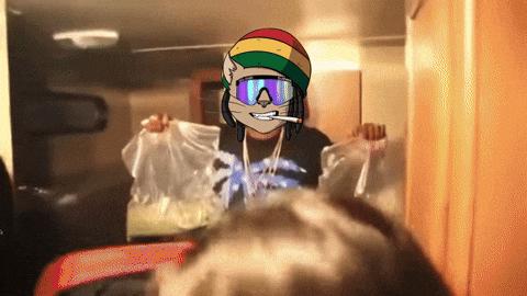 BumbaCat giphyupload bumbacat GIF