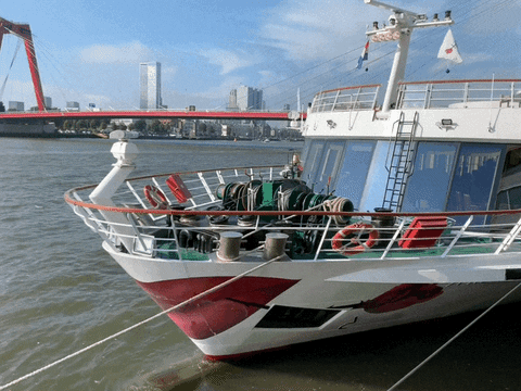 arosacruises giphyupload rotterdam cruise schiff GIF