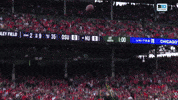Ohio State Catch GIF by Northwestern Athletics