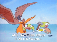 rockos modern life nicksplat GIF