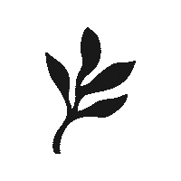 Skincare Waxing Sticker by The Pink Canoe Studio