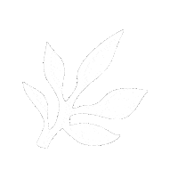 Skincare Waxing Sticker by The Pink Canoe Studio