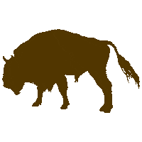 Buffalo Oklahoma Sticker by utulsa