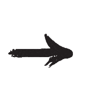 Right Arrow Sticker by CorePower Yoga