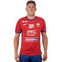 Football Celebration Sticker by PFC CSKA