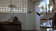 Rajinikanth GIF by RajiniGifs