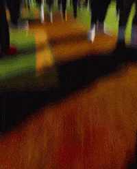 Fight On Usc Trojans GIF