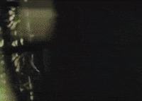 Wonder GIF by Shawn Mendes