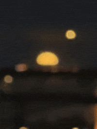 Strawberry Portland GIF by EDGARDUDE