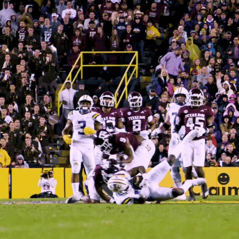 Death Valley Football GIF by LSU Tigers