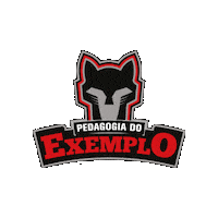 Pedagogia Exemplo Sticker by Sesi Esporte