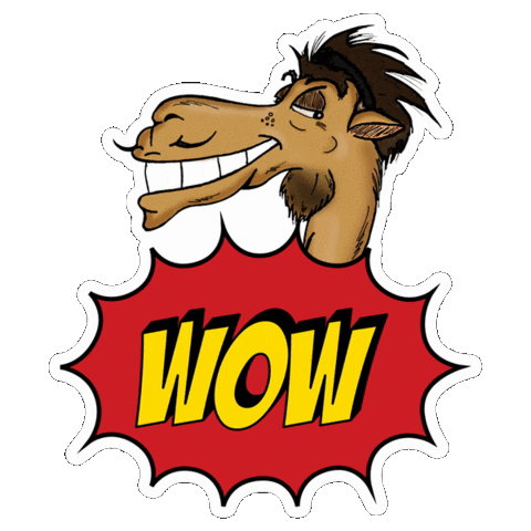 Happy Birthday Celebration Sticker by Camel Cookies