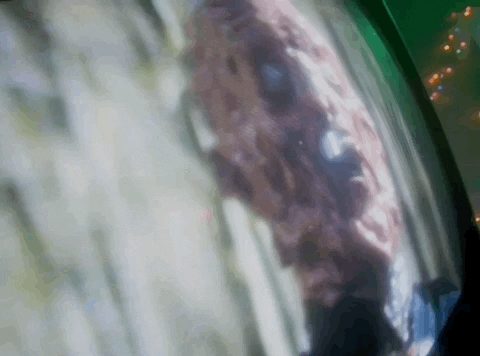 Music Video Shudder GIF by Psycho Goreman