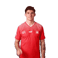 Steven Zuber Link Sticker by Swiss Football Association