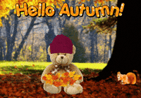 Trick Or Treat Halloween GIF