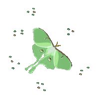 Happy Luna Moth Sticker