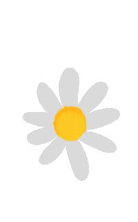 Flower Daisy Sticker