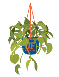 Moving University Of Florida Sticker by UF Student Life
