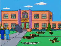 the simpsons GIF