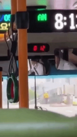 fasdfasf giphyupload GIF