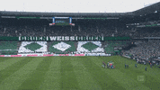 fans ostkurve GIF by SV Werder Bremen