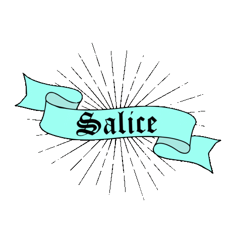 teamsalsa Sticker by Shop Salice Rose