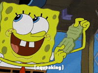 season 2 GIF by SpongeBob SquarePants