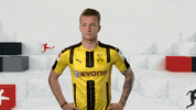 borussia dortmund GIF by Bundesliga
