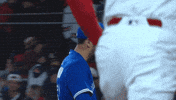 Blue Jays Baseball GIF by Toronto Blue Jays