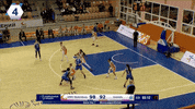 Womens Basketball GIF by Basketfem