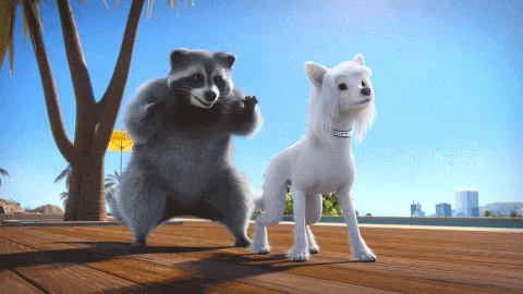 Dog Surprise GIF by TeamTO