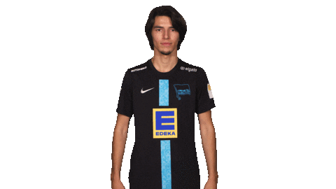 Hertha Bsc Berlin Sticker by Bundesliga