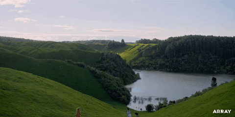 New Zealand Missy GIF by ARRAY