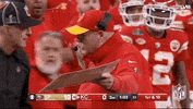 Super Bowl Sport GIF by NFL