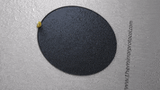 Diversification GIF