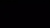 Diversification GIF