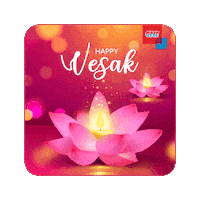 Vesak Day Meditation Sticker by CNI
