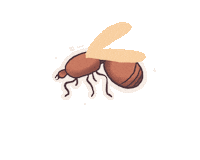 Ant Sticker by Halltec