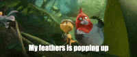 djkoren birds beep beep i dont like this rio 2 GIF