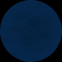 Mexico Mexicana GIF by COBAO