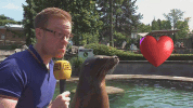 kÃ¼sschen love GIF