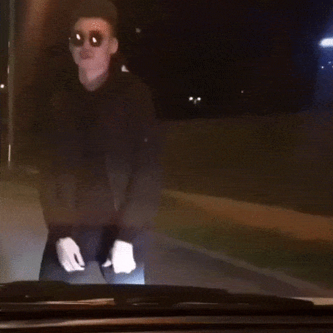 Naumov giphyupload GIF