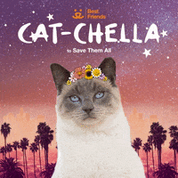 bestfriends cat cute festival sparkle GIF