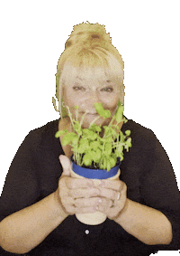 Kräuter Cooking Sticker by kochkunststuecke