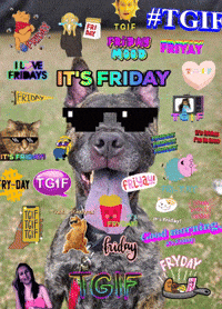 Friday GIF by Nebraska Humane Society