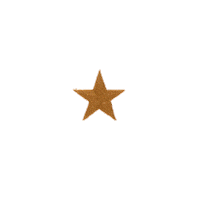 Star Sparkle Sticker by alaina colleen