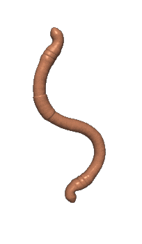 worm Sticker