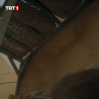 Go War GIF by TRT