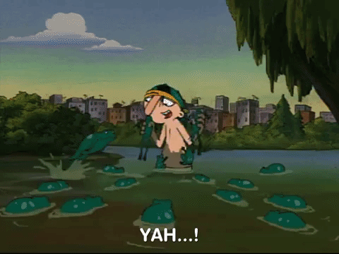 hey arnold nicksplat GIF