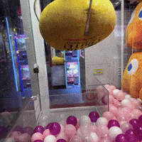 Winner Winning GIF